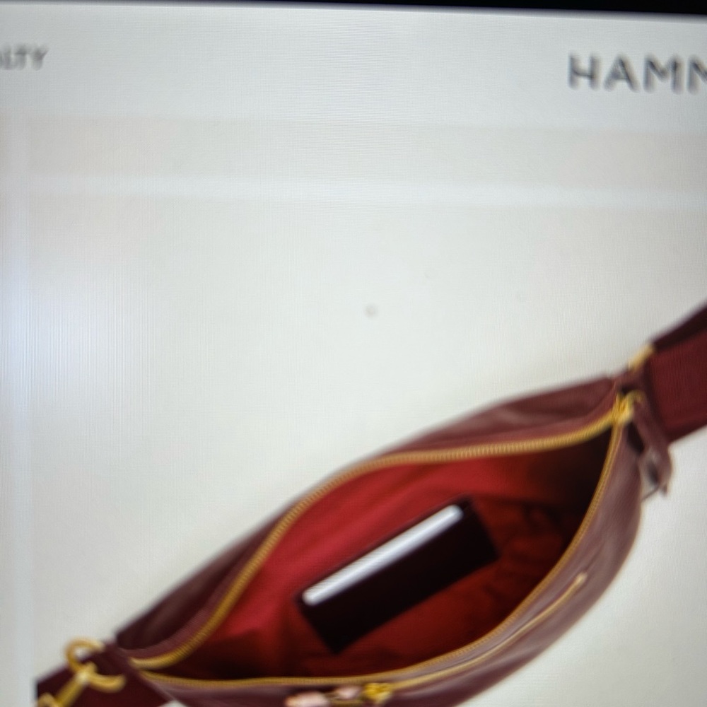 Hammitt Brand New Charles Crossbody Bag Lighthouse Red/ Brushed Silver/ Medium - Picture 7 of 11